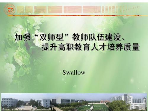 加强“双师型”教师队伍建设]