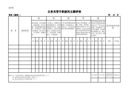 公务员晋升职级民主测评表