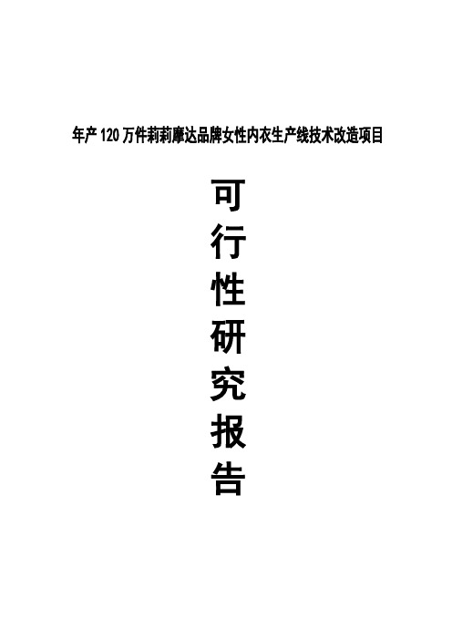 年产120万件品牌女性内衣生产线技术改造项目可行性研究报告