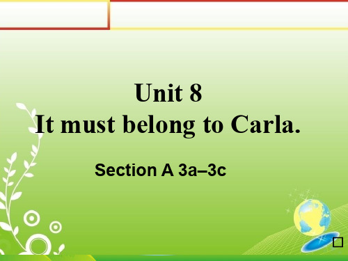 人教英语九年级全一册Unit8Section A 3a—3c(共11张PPT)