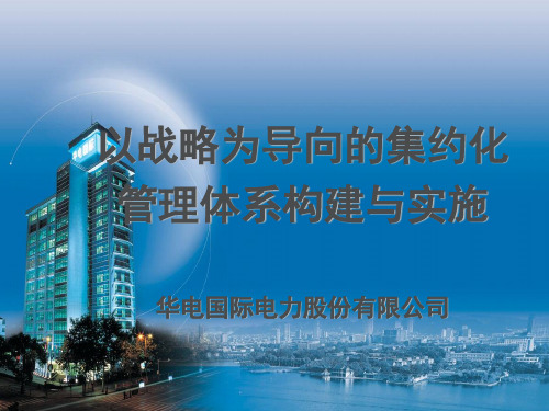 某公司集约化管理体系的构建及实施(ppt36页)