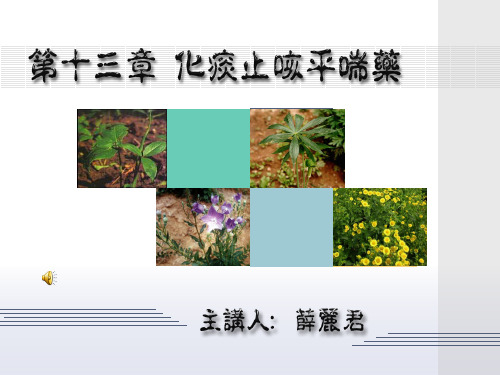 中药学 化痰止咳平喘药——温化寒痰药