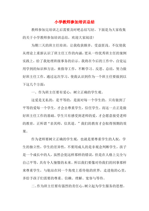 2019年小学教师参加培训总结