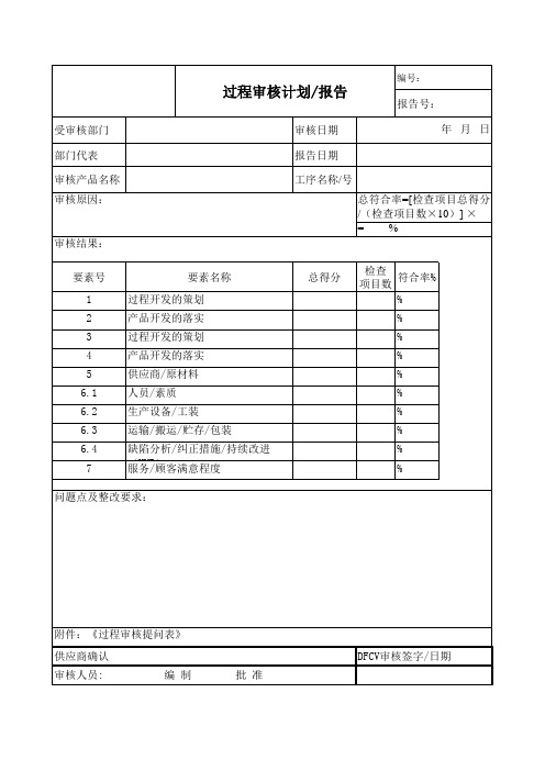 过程审核计划报告