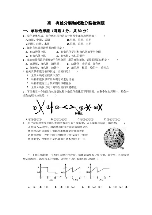 有丝分裂和减数分裂专题检测题