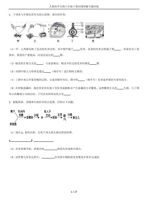 人教初中生物八年级下册识图理解专题训练