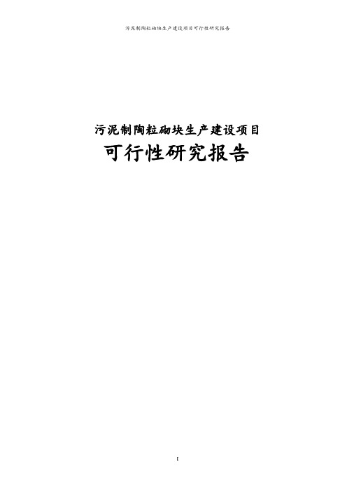 年处理8万吨污泥制陶粒砌块生产项目可行性研究报告