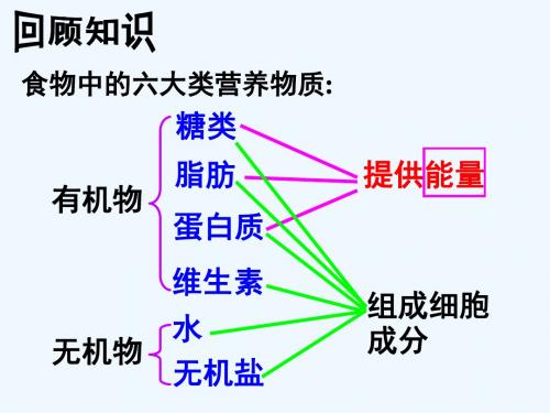 生物人教版七年级下册探究食物中的能量