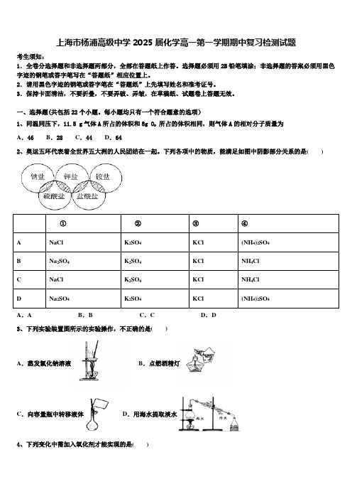 上海市杨浦高级中学2025届化学高一第一学期期中复习检测试题含解析