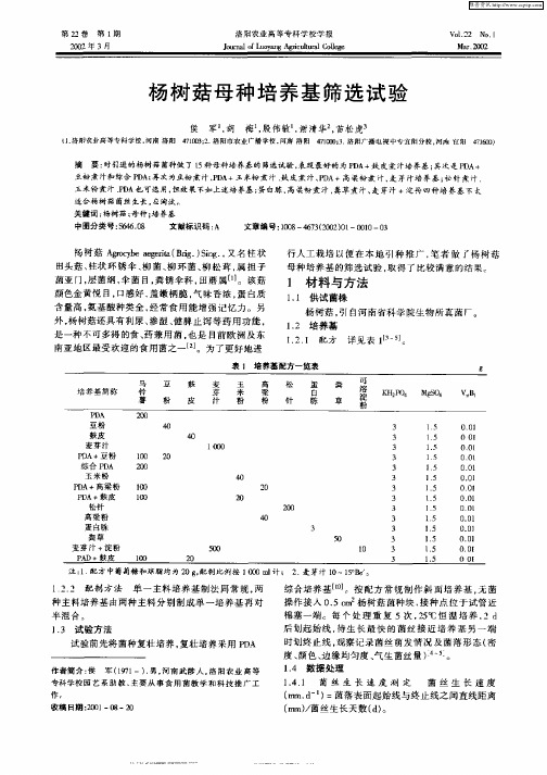 杨树菇母种培养基筛选试验