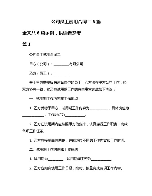 公司员工试用合同二6篇