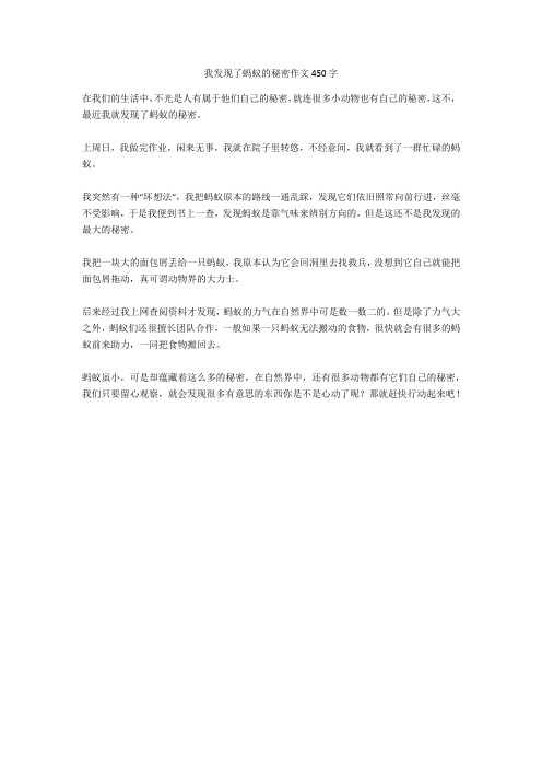 我发现了蚂蚁的秘密作文450字