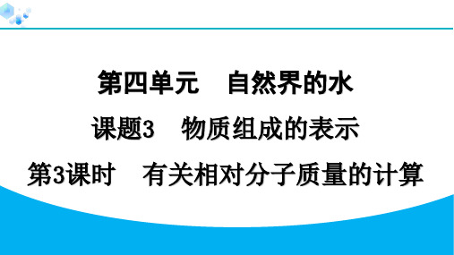 4.3.3 有关相对分子质量的计算【习题课件】九年级上册化学