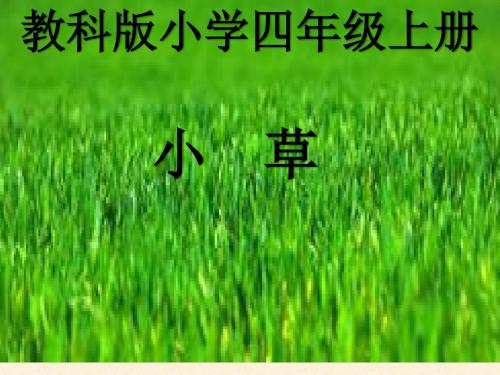 《小草》PPT 教科版小学四年级上册