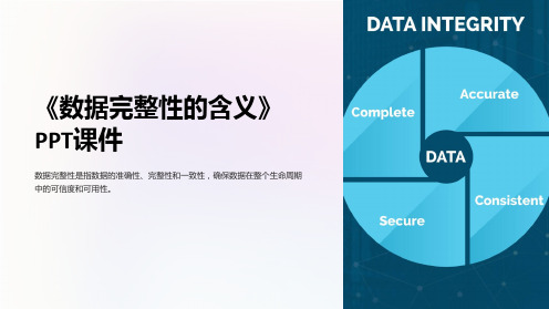 《数据完整性的含义》课件
