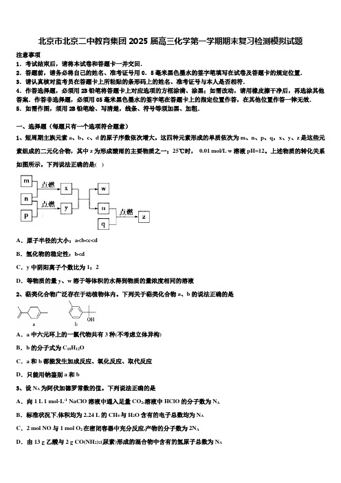 北京市北京二中教育集团2025届高三化学第一学期期末复习检测模拟试题含解析