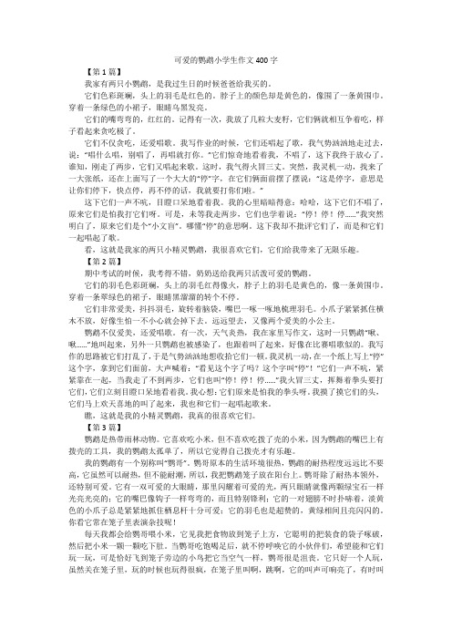 可爱的鹦鹉小学生作文400字