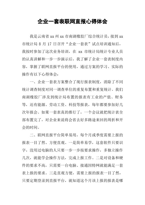 企业一套表联网直报心得体会