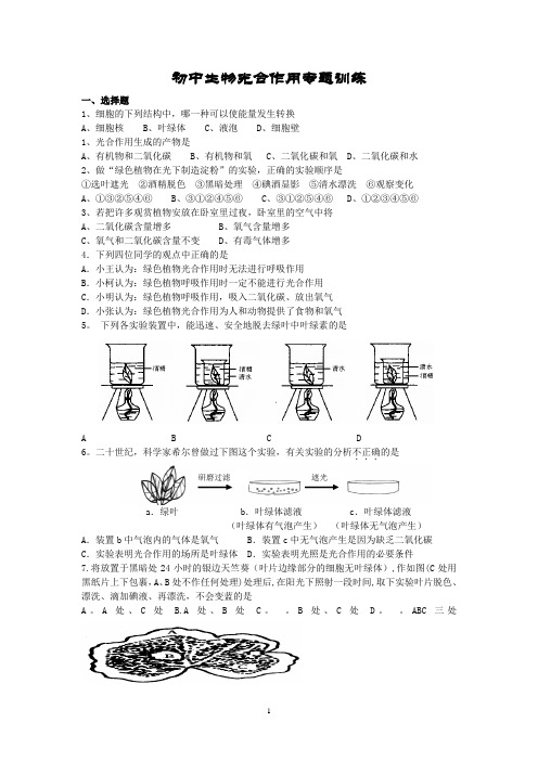 初中生物光合作用专题