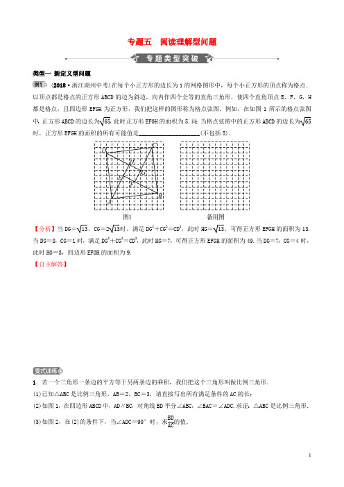 浙江省2019年中考数学专题复习 专题五 阅读理解型问题训练