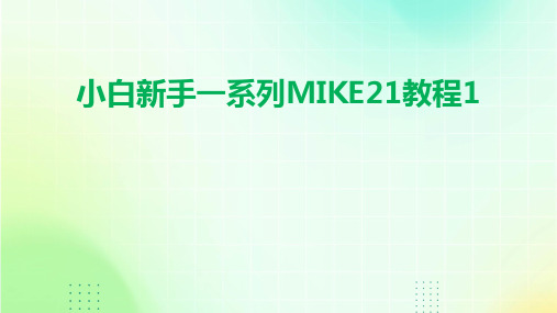 小白新手一系列MIKE21教程1