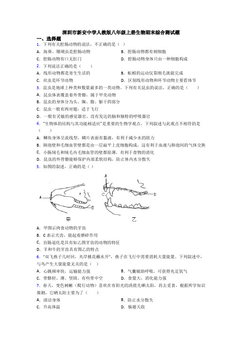 深圳市新安中学人教版八年级上册生物期末综合测试题