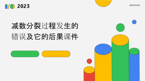 减数分裂过程发生的错误及它的后果课件