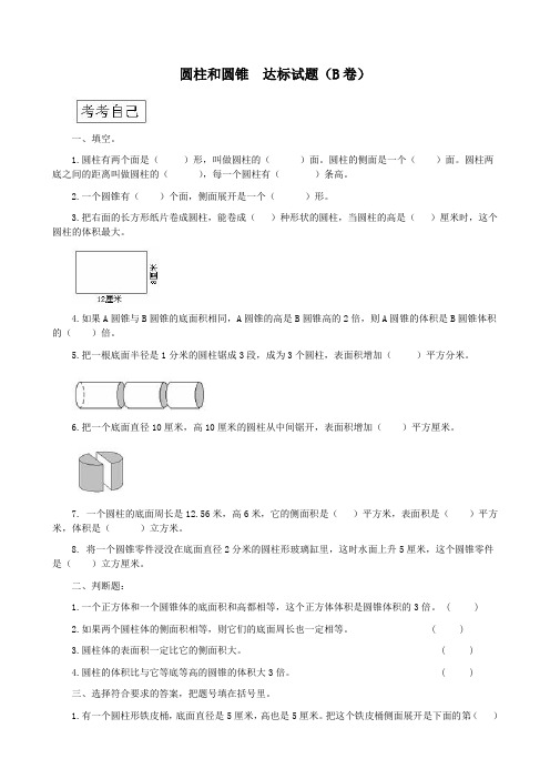 圆柱和圆锥-达标试题(B卷)