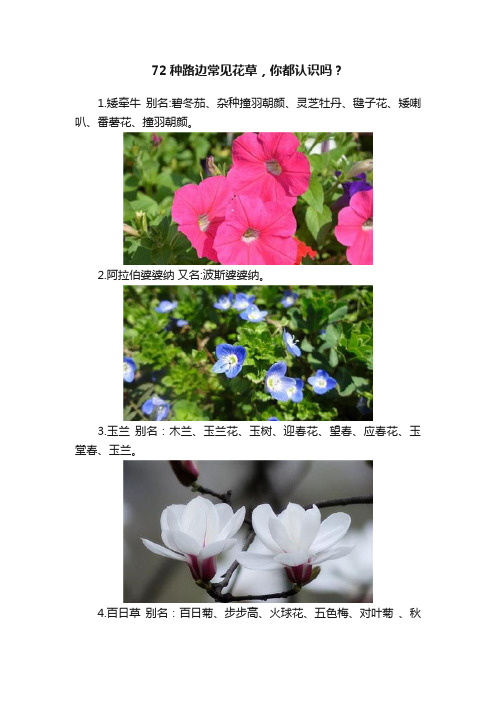 72种路边常见花草，你都认识吗？