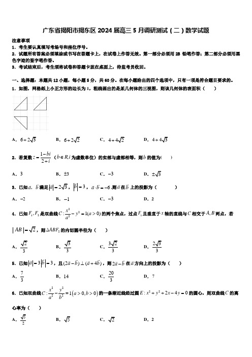 广东省揭阳市揭东区2024届高三5月调研测试(二)数学试题