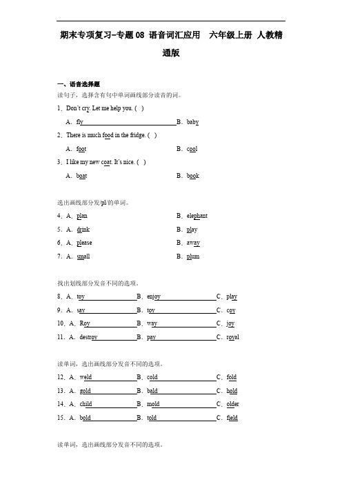 期末专项复习-专题08 语音词汇应用(试题)人教精通版英语 六年级上册 