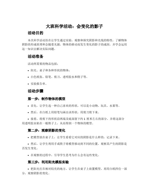 大班科学活动：会变化的影子