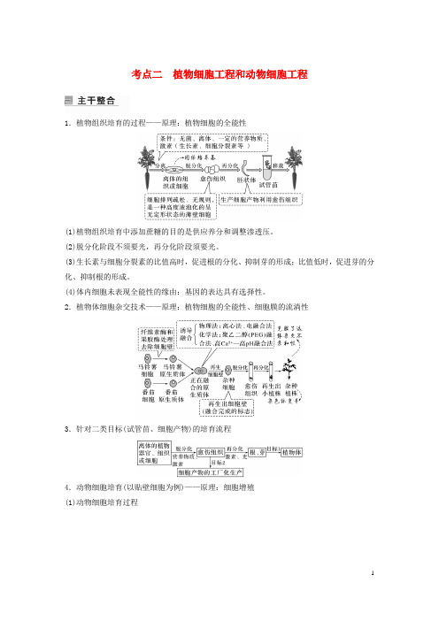 通用版2025届高考生物二轮复习专题9考点2植物细胞工程和动物细胞工程讲义