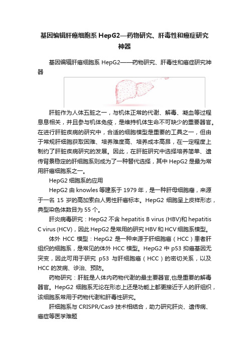 基因编辑肝癌细胞系HepG2—药物研究、肝毒性和癌症研究神器