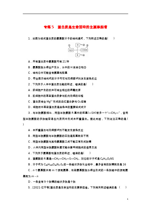 2023版新教材高考生物微专题小练习专练5蛋白质是生命活动的主要承担者