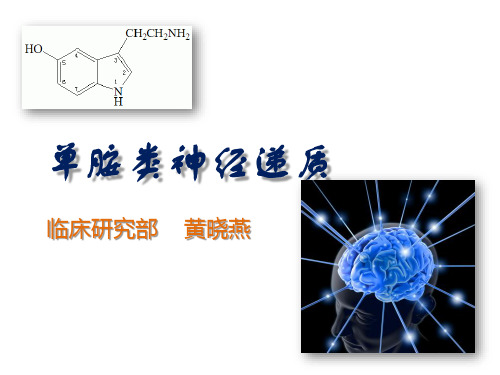 单胺类神经递质简介