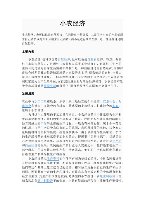 小农经济