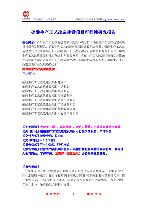 硝酸生产工艺改造建设项目可行性研究报告