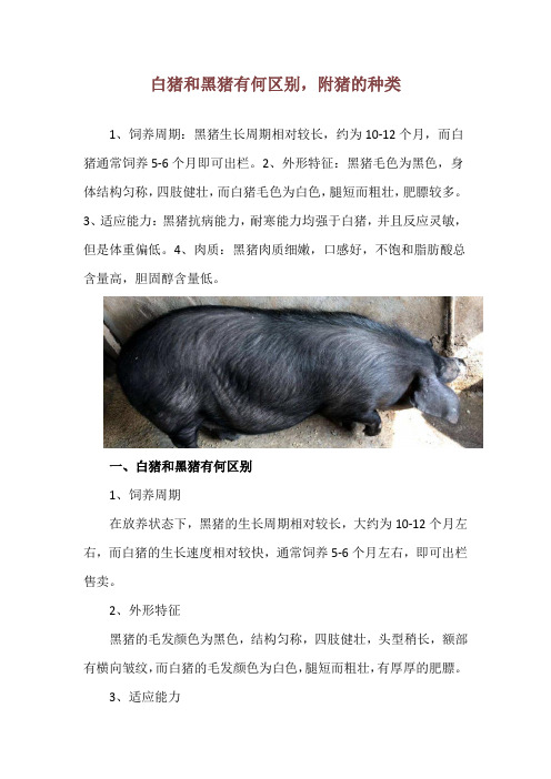 白猪和黑猪有何区别,附猪的种类