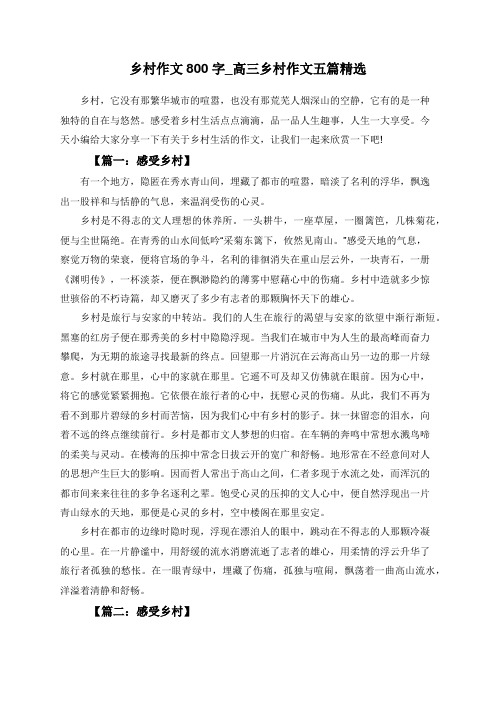 乡村作文800字_高三乡村作文五篇精选