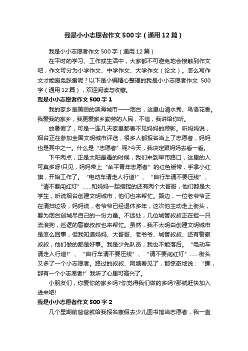 我是小小志愿者作文500字（通用12篇）