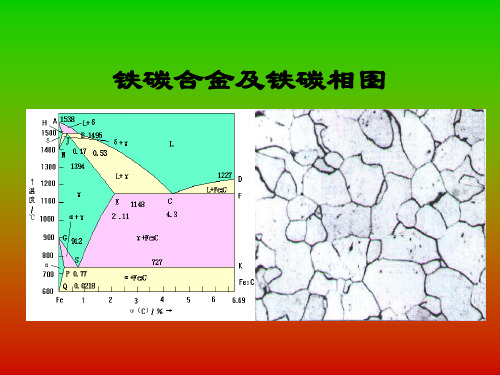 铁碳合金 金属工艺学 降温曲线 大工