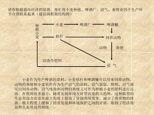 新型生态混合农业