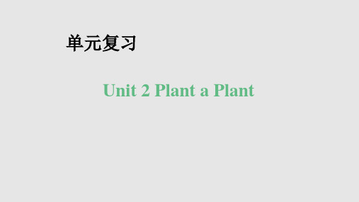 Unit 2 Plant a Plant!复习课件 冀教版英语八年级下册