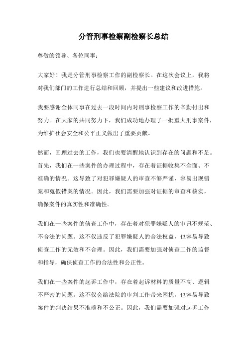 分管刑事检察副检察长总结