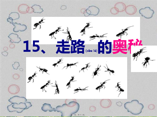 三年级语文上册《走路的奥秘》课件1 沪教沪教件