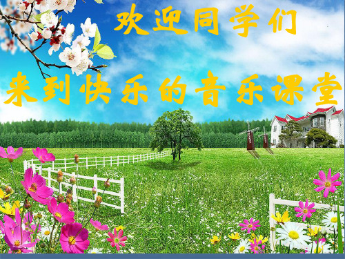 顽皮的杜鹃ppt课件
