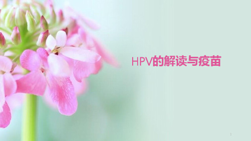 HPV的解读与疫苗ppt课件