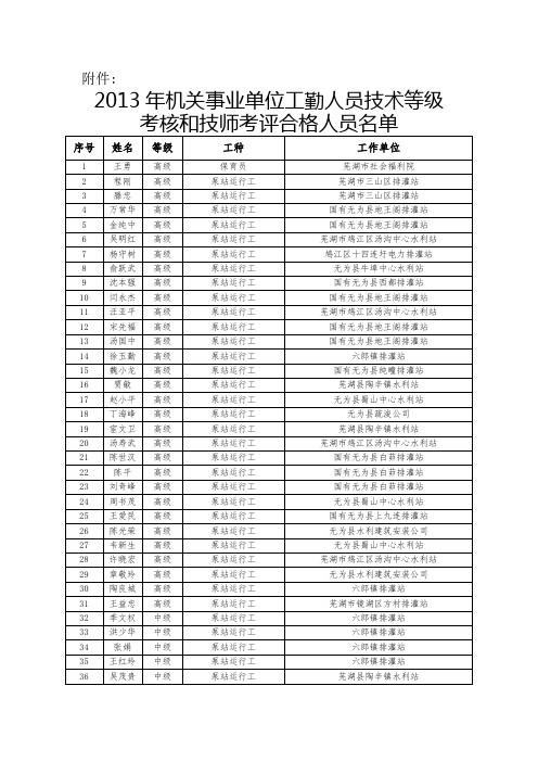 芜湖人社局 汪国明高级工