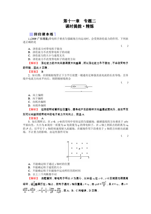 2011年高考物理一轮复习同步练习(名师解析)11-专题2磁场对运动电荷的作用